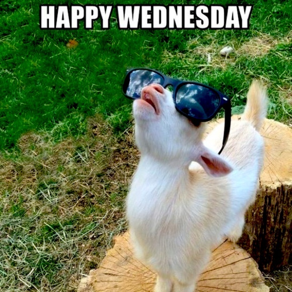 Is summer time you have worked hard ! Midweek shopping break